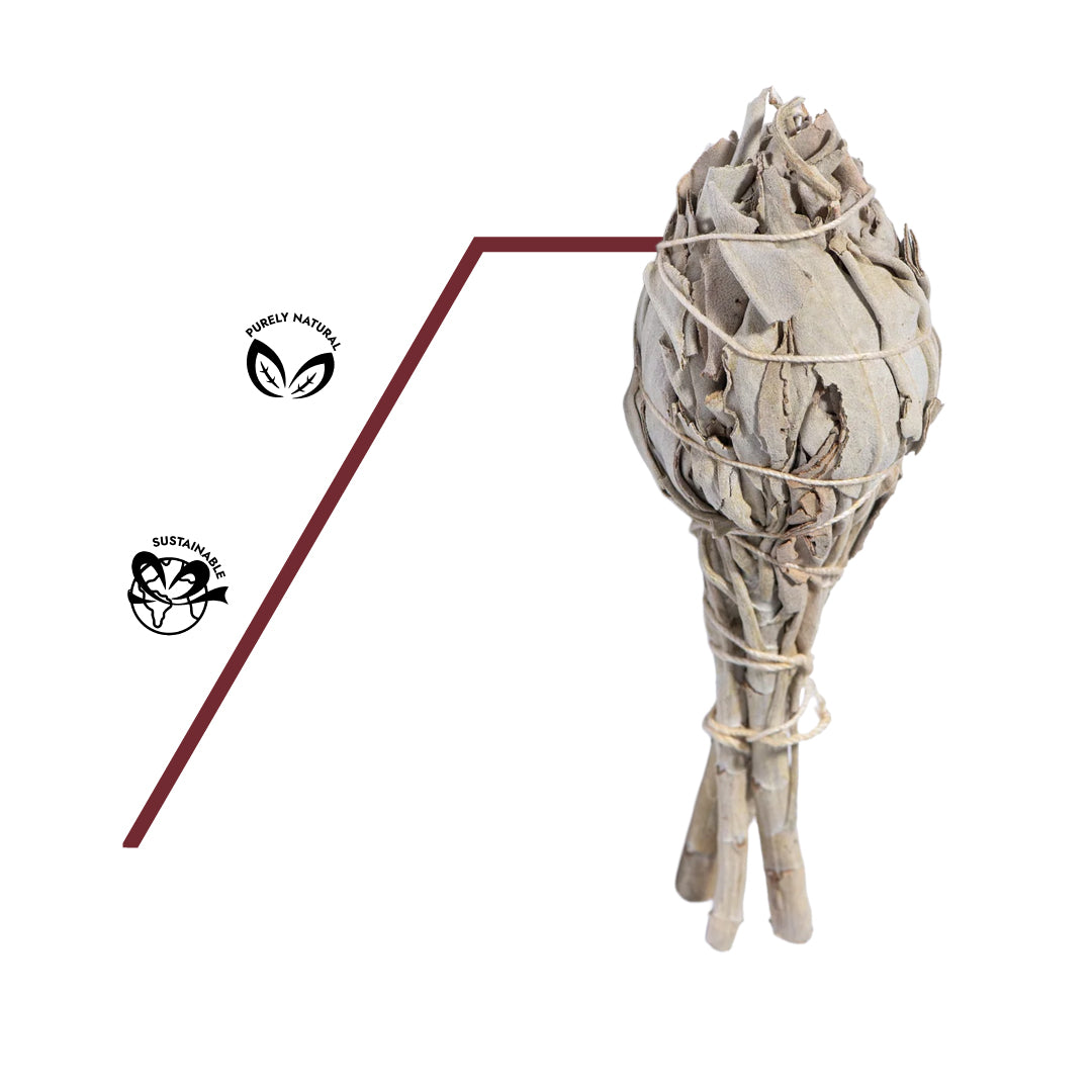 Naturreine weiße Salbei Fackel mit Hinweis auf Qualität, Zertifikat oder Herkunft, unbehandelt und nachhaltig.