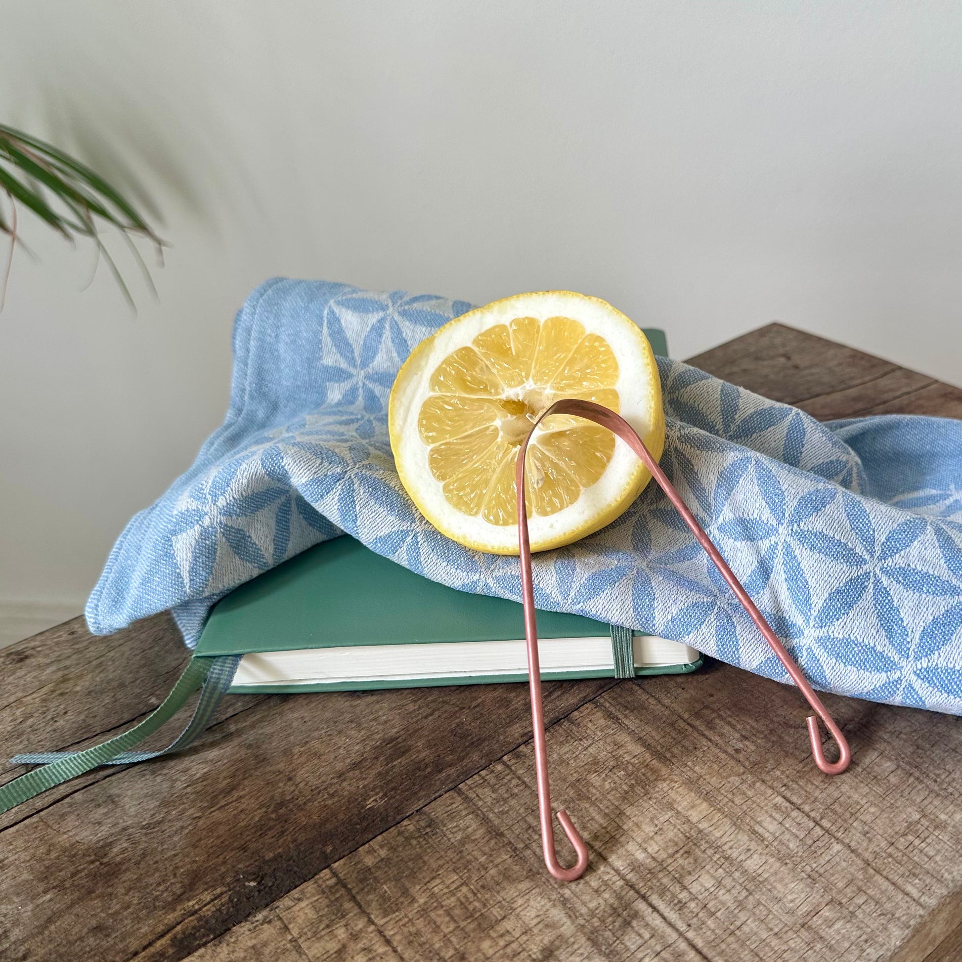 Ayurvedisches Morgenritual mit Kupfer Zungenschaber für frischen Atem mit Zitrone & Natron reinigen 