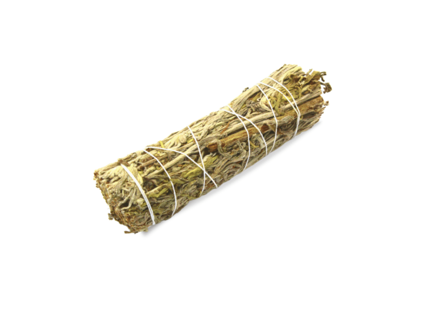 Grüner Salbei  - 12cm